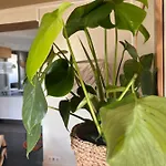 Appartement Le French Loft Plein De Charme Au Coeur De Pouvant Accueillir 8 Personnes *