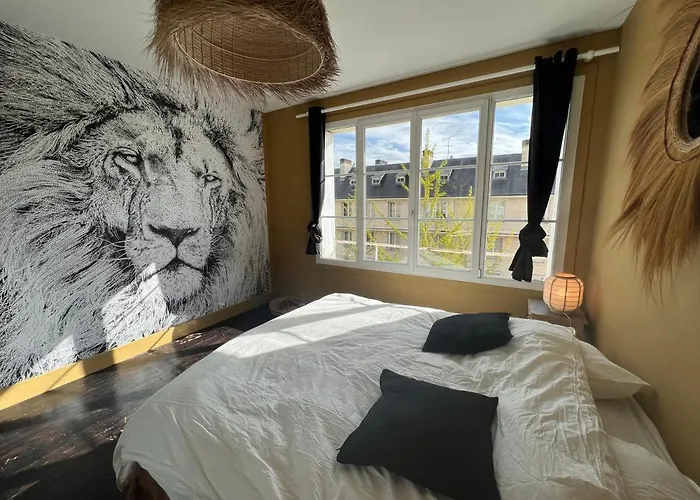 Le French Loft Plein De Charme Au Coeur De Pouvant Accueillir 8 Personnes * 凯恩